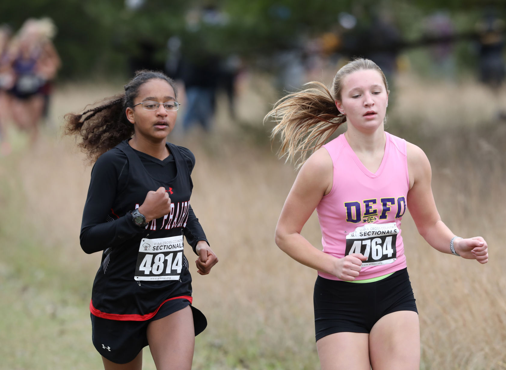 WIAA girls and boys cross country sectional